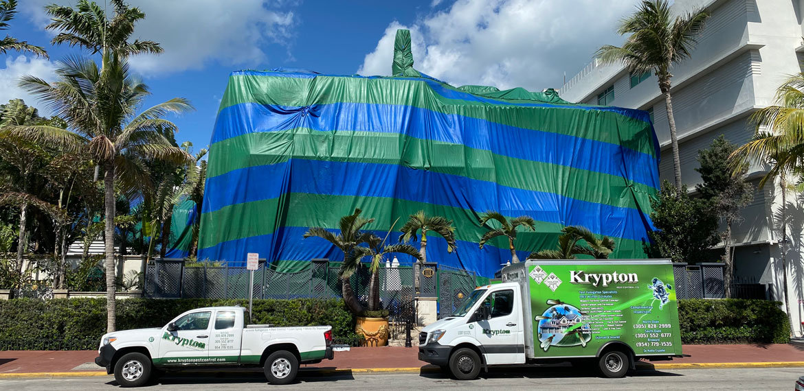 Termite Tenting Versace Mansion Miami, FL