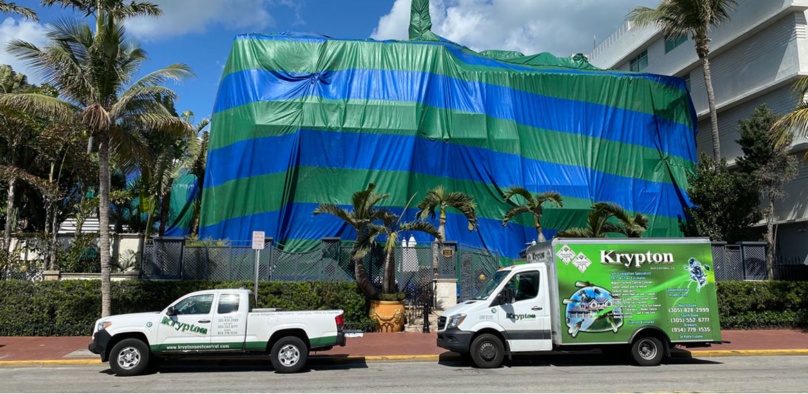 Termite Tenting Versace Mansion Miami, FL